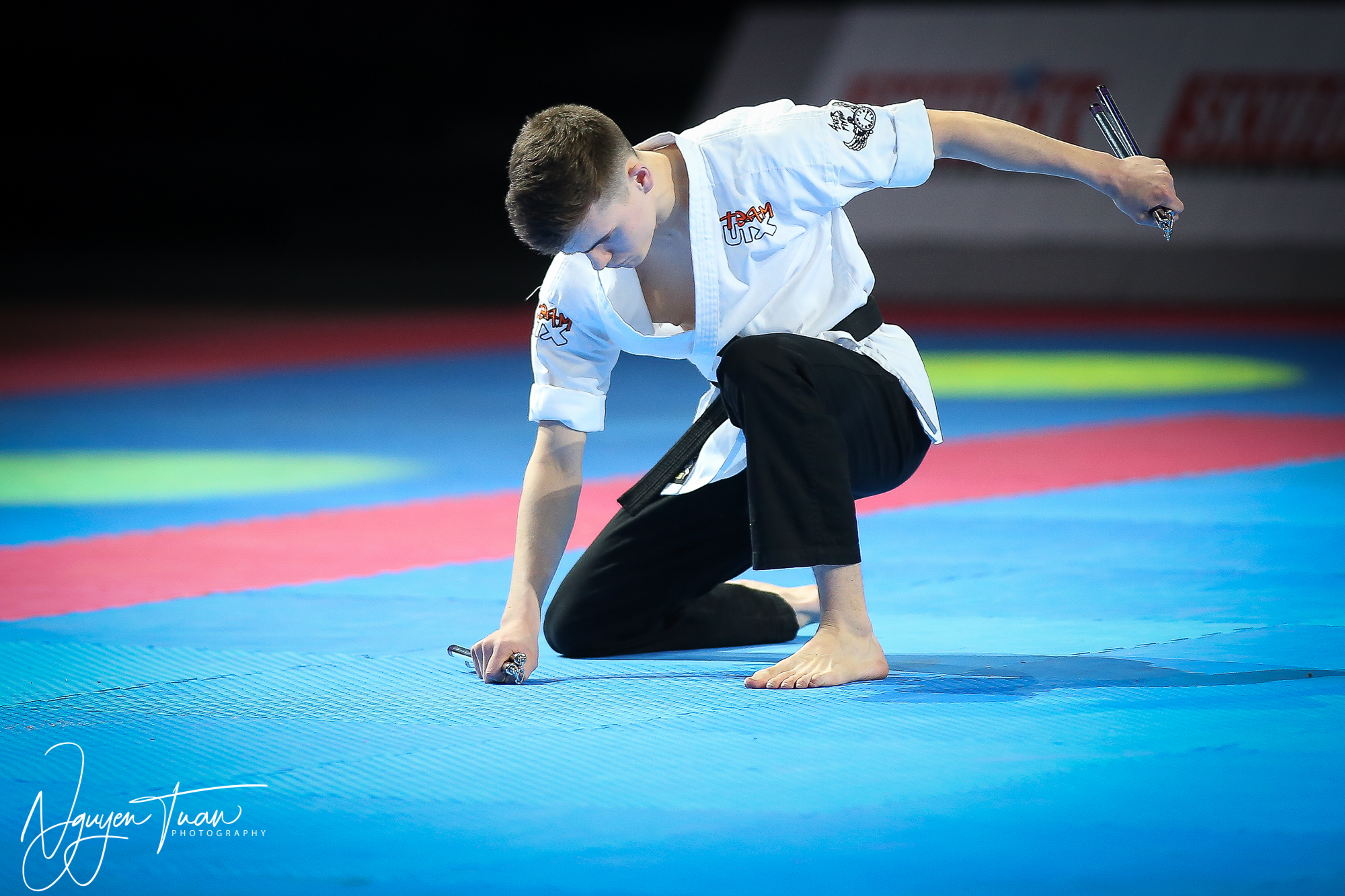 Festival des Arts Martiaux